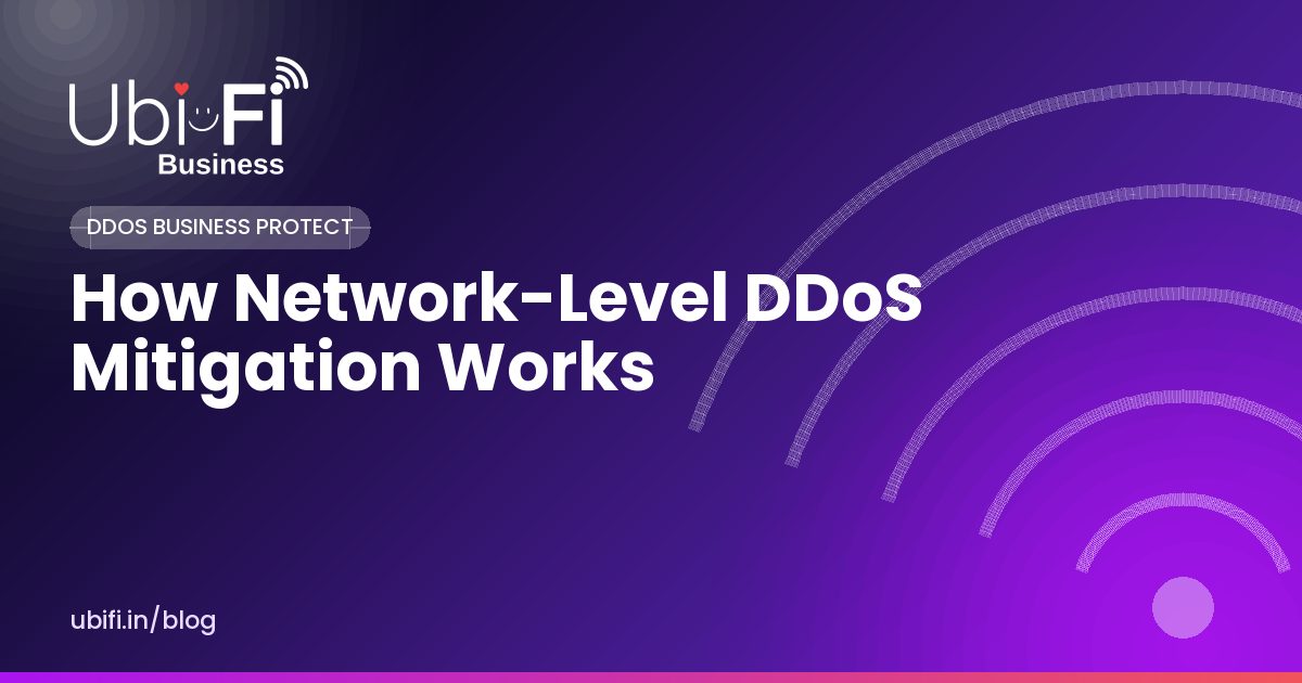 How Network-Level DDoS Mitigation Works
